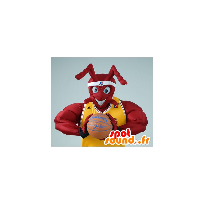 Mascotte de fourmi rouge musclée, en tenue de Basket - MASFR21119 - Mascottes Fourmi