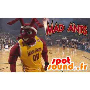 Mascotte de fourmi rouge musclée, en tenue de Basket - MASFR21119 - Mascottes Fourmi