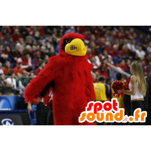 Mascot rode adelaar, zwart en geel - MASFR21120 - Mascot vogels