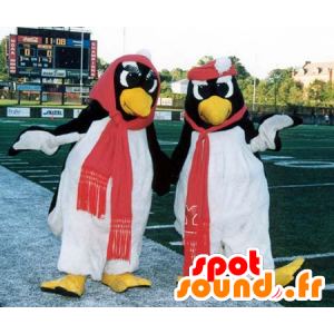 2 pingviini mascots, musta ja valkoinen - MASFR21196 - pingviini Mascot