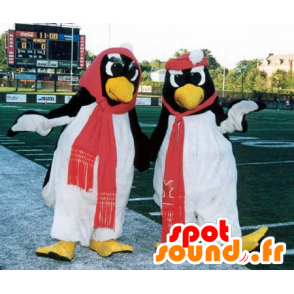 2 penguin mascots, black and white - MASFR21196 - Penguin mascots