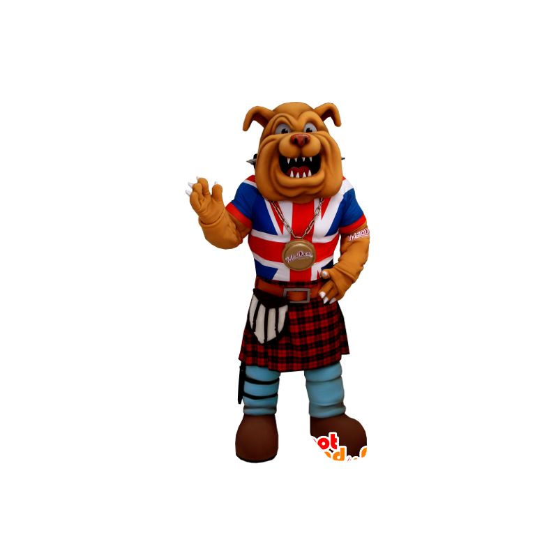 Maskot bulldog kledd i anglo-saksisk uniform - Hundemaskoter - MASFR21203 - SpotSound.fr