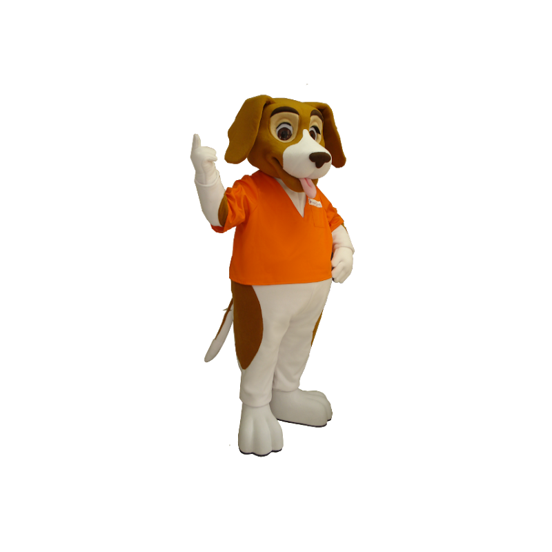 Mascot Hund, Basset Hound, braun und weiß - MASFR21213 - Hund-Maskottchen