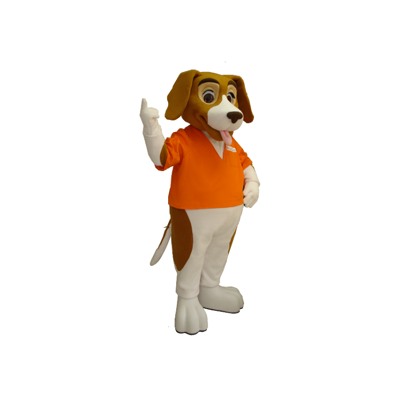 Mascotte de chien, de basset hound, marron et blanc - MASFR21213 - Mascottes de chien