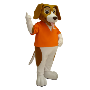 Mascot dog, basset hound, brown and white - MASFR21213 - Dog mascots