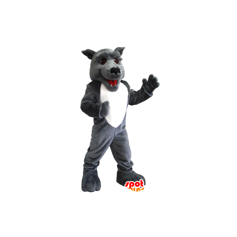 Cinzenta e branca mascote lobo - MASFR21219 - lobo Mascotes