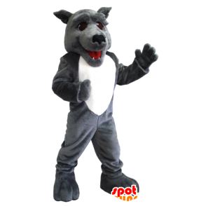 Grau und Weiß Wolf-Maskottchen - MASFR21219 - Maskottchen-Wolf