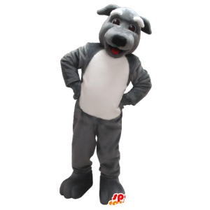 Mascotte de chien gris et blanc - MASFR21227 - Mascottes de chien