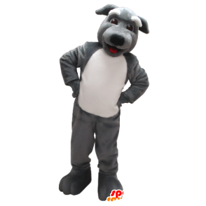 Mascote cinza e branco cão - MASFR21227 - Mascotes cão