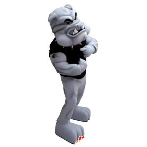 Gray bulldog mascot, very muscular - MASFR21266 - Dog mascots