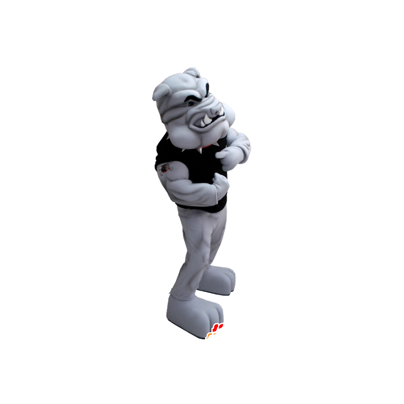 Gray bulldog mascot, very muscular - MASFR21266 - Dog mascots