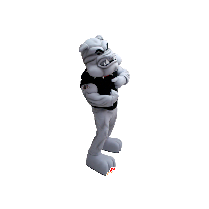 Gray bulldog maskot, meget muskuløs - MASFR21266 - Dog Maskoter