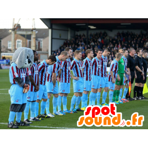 Mascot grijs en wit konijn, zachte en harige in sportkleding - MASFR21283 - Mascot konijnen