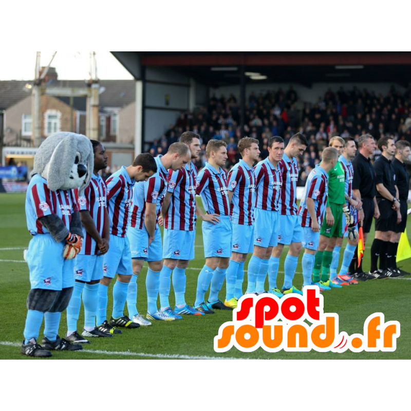 Mascot šedé a bílé králík, měkké a chlupatá ve sportovní - MASFR21283 - maskot králíci Mascot šedé a bílé králík, měkké a chlupatá ve sportovní - MASFR21283 - maskot králíci