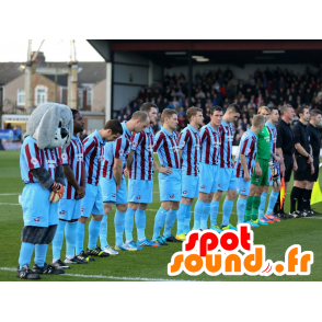 Mascot šedé a bílé králík, měkké a chlupatá ve sportovní - MASFR21283 - maskot králíci