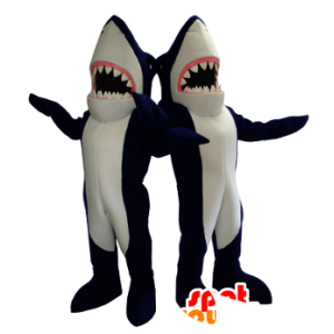 2 mascots blue and white sharks, giant - MASFR21288 - Mascots shark