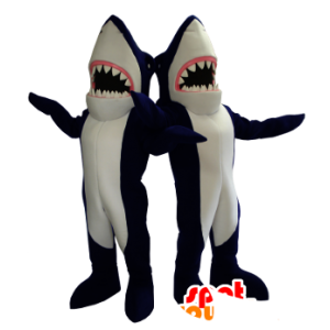 2 maskotar av blå och vita hajar, jätte - Spotsound maskot