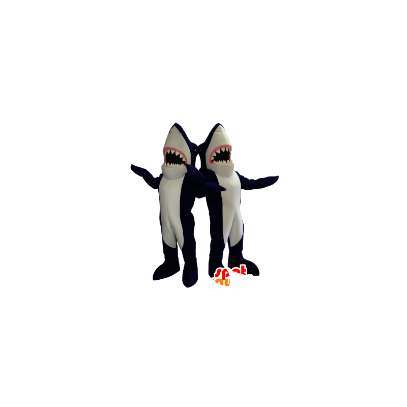 2 Mascots niebieski i biały rekinów olbrzymia - MASFR21288 - maskotki Shark