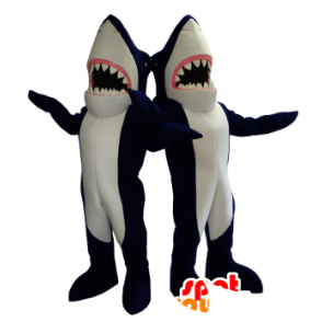 2 mascots sininen ja valkoinen hait, giant - MASFR21288 - maskotteja Shark