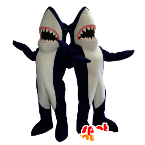 2 maskoter blå og hvite haier, gigantiske - MASFR21288 - Maskoter Shark