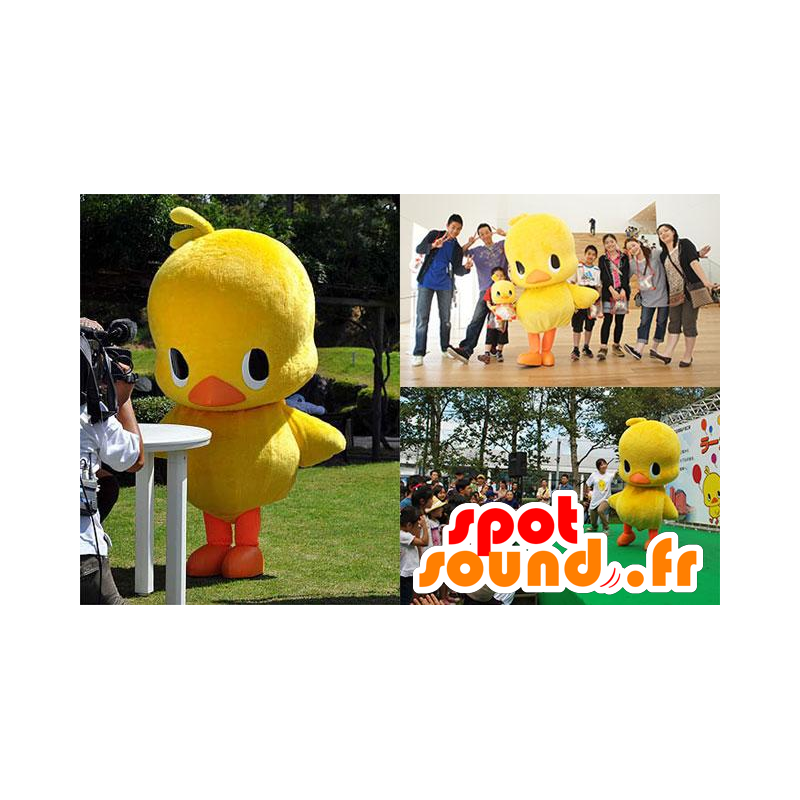 Mascotte gran polluelo amarillo y naranja, pato - MASFR21321 - Mascota de los patos