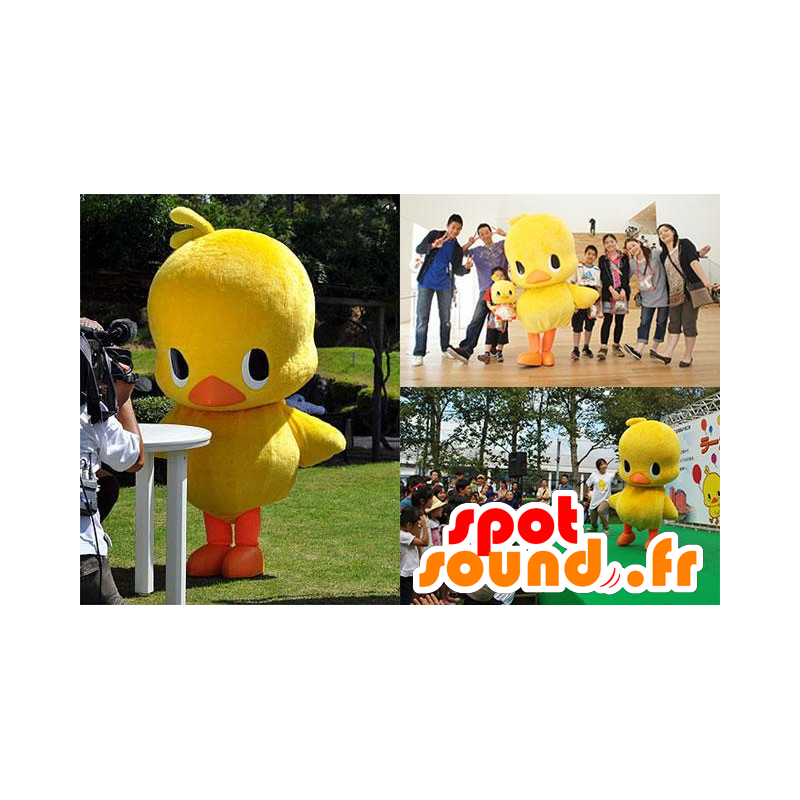 Mascotte large yellow and orange chick, duck - MASFR21321 - Ducks mascot