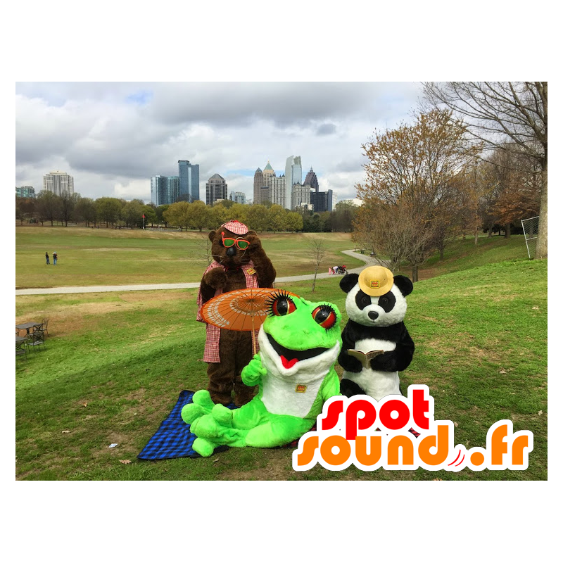 3 animais de estimação: Um urso marrom, um panda, e uma rã verde - MASFR21324 - pandas mascote 3 animais de estimação: Um urso marrom, um panda, e uma rã verde - MASFR21324 - pandas mascote
