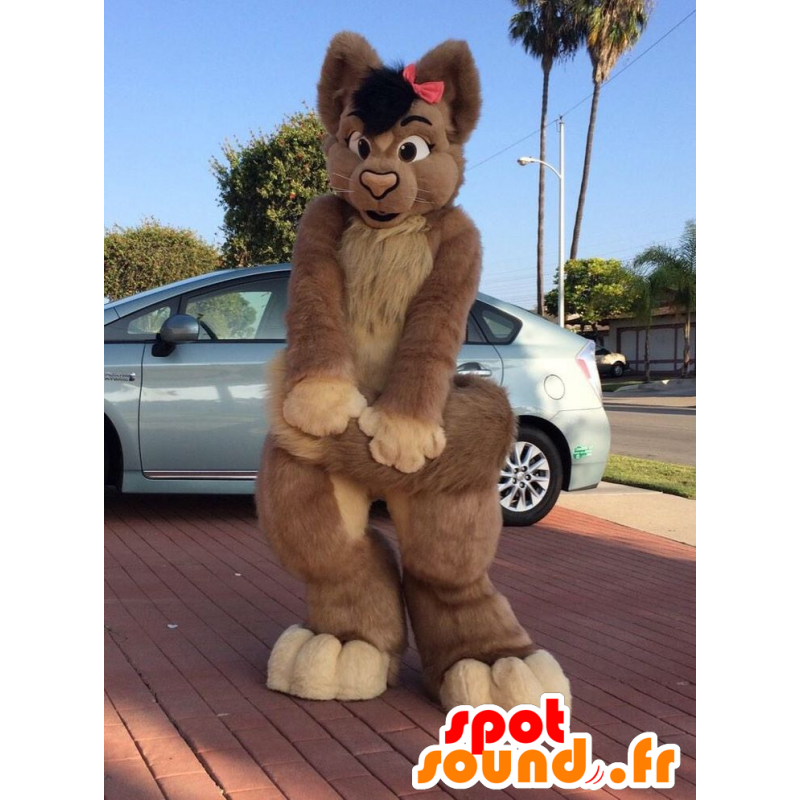Mascota Mujer, gato marrón, toda peluda - MASFR21327 - Mascotas gato