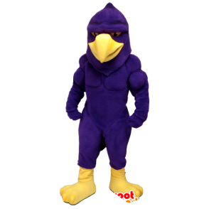 Mascote águia, pássaro roxo e amarelo, muito muscular - MASFR21358 - aves mascote