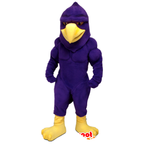 Águila de la mascota, pájaro púrpura y amarillo, muy musculoso - MASFR21358 - Mascota de aves