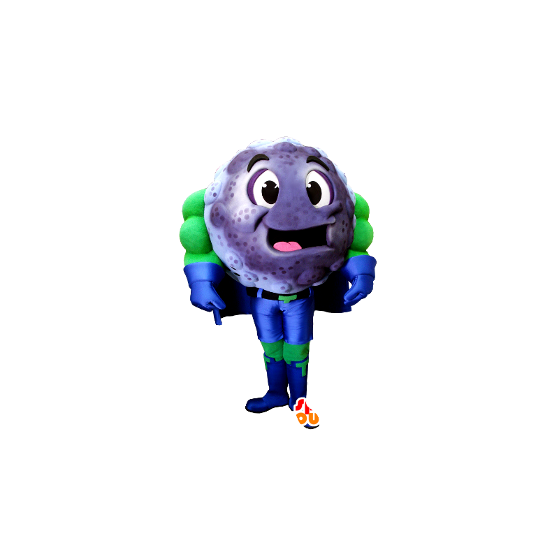 Mascot blåbær, solbær superhelt antrekk - MASFR21367 - superhelt maskot