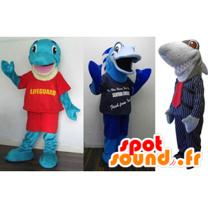 3 Haustiere: ein blauer Delfin, Blau Fisch und ein grauer Hai - MASFR21383 - Maskottchen Dolphin