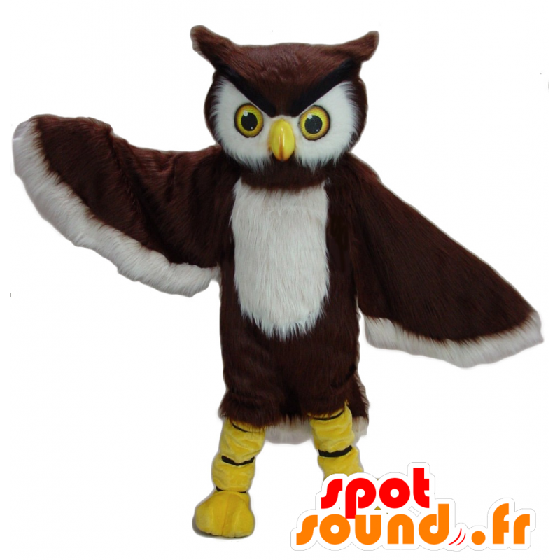 Brown e mascote coruja branco - MASFR21401 - aves mascote