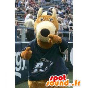 A brown bear mascot with a blue shirt - MASFR21433 - Bear mascot