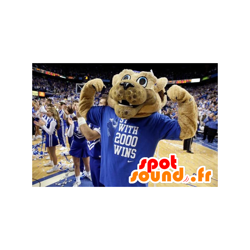 Béžová tygr maskot oblečený v modré sportovní - MASFR21437 - Tiger Maskoti Béžová tygr maskot oblečený v modré sportovní - MASFR21437 - Tiger Maskoti