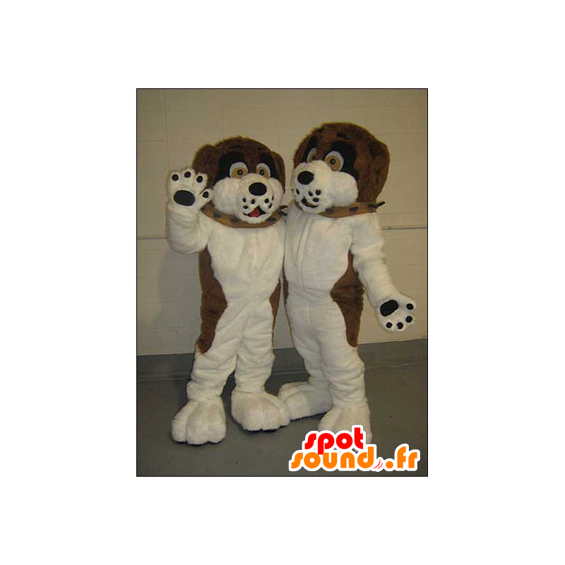 2 pets brown dogs, black and white - MASFR21438 - Dog mascots