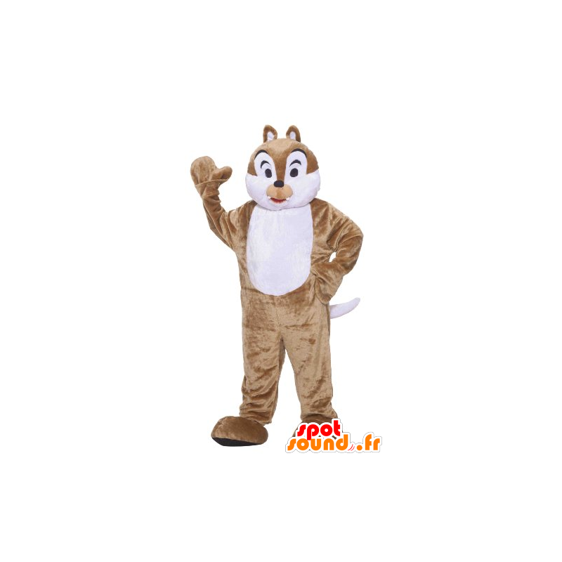 Mascot brown and white squirrel, Tic Tac or - MASFR21444 - Mascots squirrel