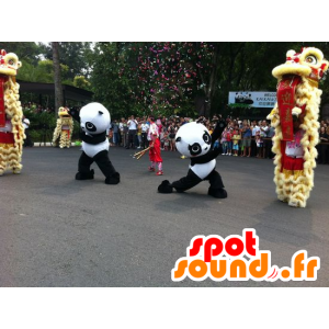 Two panda mascots, black and white - MASFR21484 - Mascot of pandas