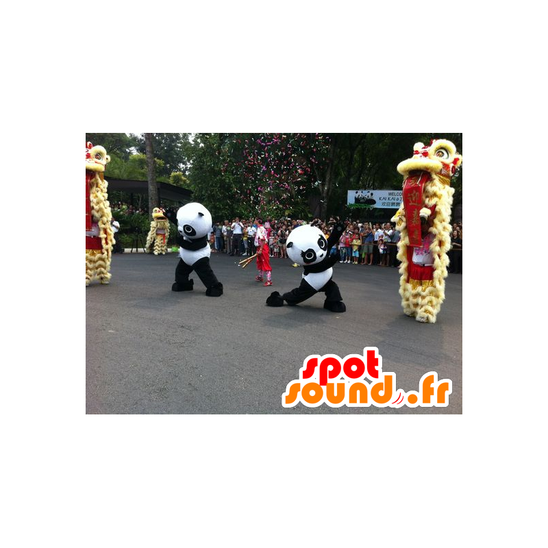 Two panda mascots, black and white - MASFR21484 - Mascot of pandas Two panda mascots, black and white - MASFR21484 - Mascot of pandas