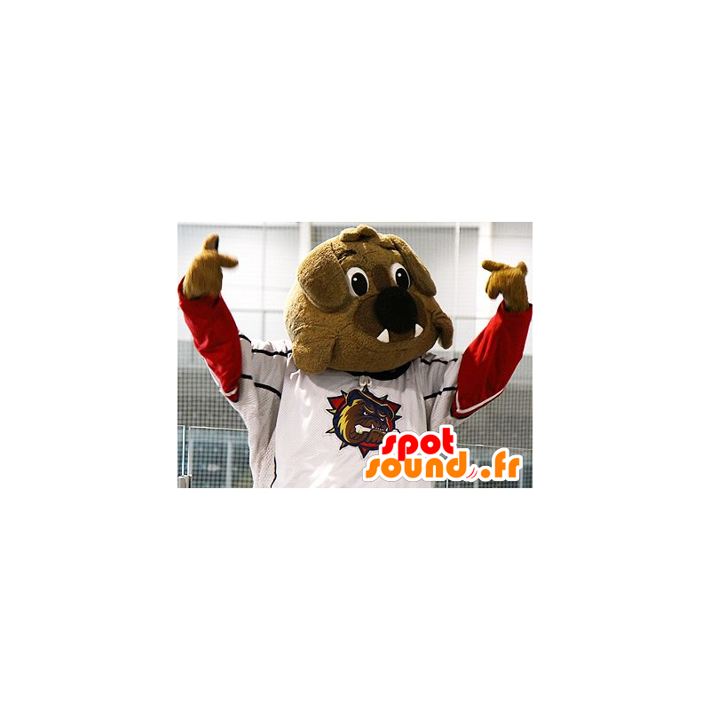 Brown bulldog mascot in sportswear - MASFR21488 - Sports mascot
