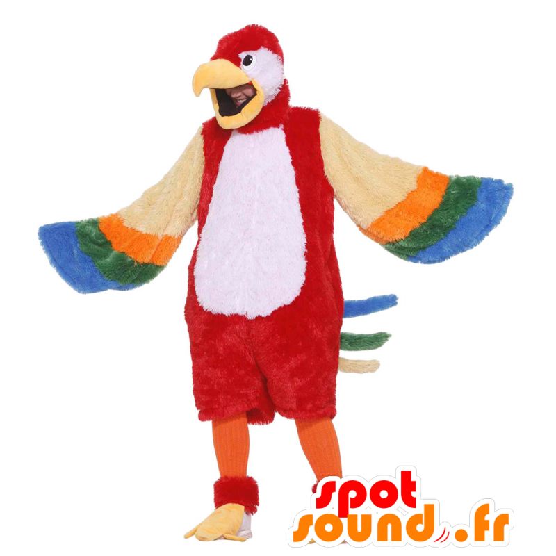 Multicolore pappagallo mascotte, gigante - MASFR21507 - Mascotte degli uccelli