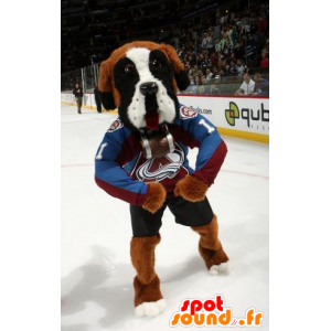 Saint-Bernard maskot tricolor i sportkläder - Spotsound maskot