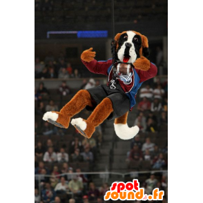 Saint-Bernard maskot tricolor i sportkläder - Spotsound maskot