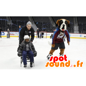Saint-Bernard maskot tricolor i sportkläder - Spotsound maskot