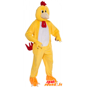 Galinha mascote Galo amarelo, branco e vermelho - MASFR21524 - Mascote Galinhas - galos - Galinhas