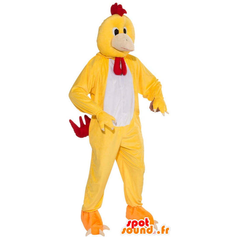 Pollo mascotte gallo giallo, bianco e rosso - MASFR21524 - Mascotte di galline pollo gallo