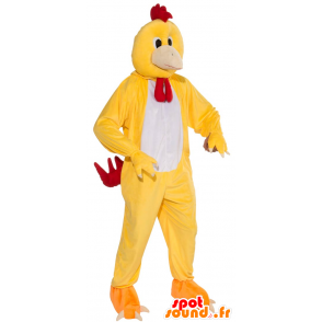 Galinha mascote Galo amarelo, branco e vermelho - MASFR21524 - Mascote Galinhas - galos - Galinhas