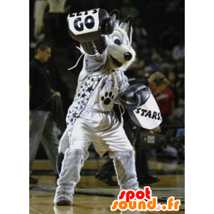 Mascot lobo cinzento, preto e branco, no sportswear - MASFR21552 - lobo Mascotes