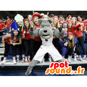 Mascota perro gris, dogo en ropa deportiva - MASFR21553 - Mascotas perro