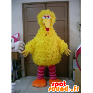 Mascot pássaro amarelo e rosa, todo peludo - MASFR21560 - aves mascote